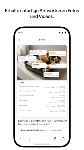 Meta AI – Assistent und Brille Screenshot