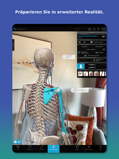 Atlas der Humananatomie 2026 Screenshot