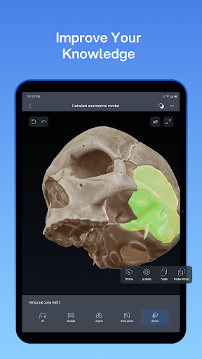 VOKA 3D Anatomy and Physiology screenshot