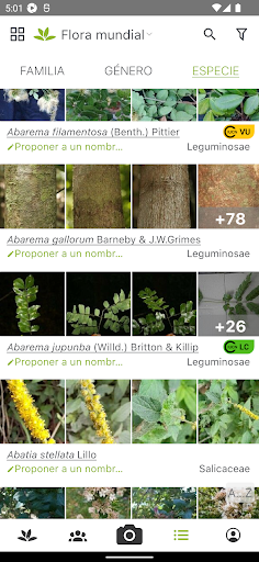 Captura de pantalla de PlantNet Identifica Plantas