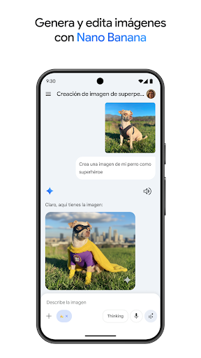 Captura de pantalla de Google Gemini