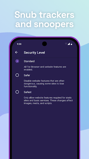 Captura de pantalla de Tor Browser