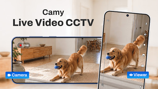Captura de pantalla de Camy Videovigilancia el hogar