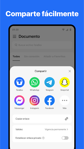Captura de pantalla de TeraBox: Respalda la nube