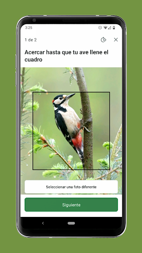 Captura de pantalla de Merlin Bird ID de Cornell Lab