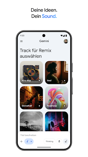 Google Gemini Screenshot