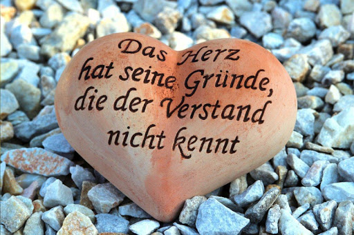 Grußkarten zu allen Anlässen Screenshot