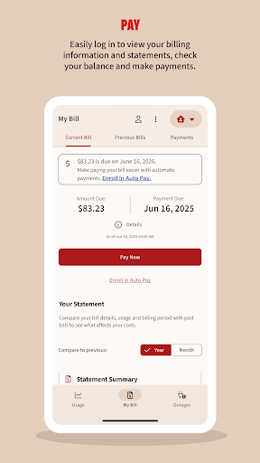 Xcel Energy screenshot