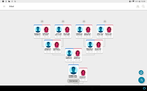 Captura de pantalla de FamilySearch - Árbol