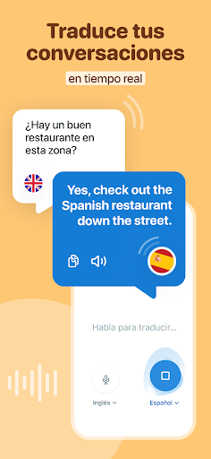 Captura de pantalla de Reverso Traductor, Diccionario