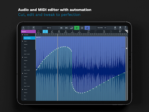 Captura de pantalla de Cubasis 3 - DAW & Music Studio