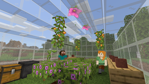 Captura de pantalla de Minecraft Education Preview