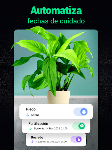 Captura de pantalla de Plantum - Identificar plantas