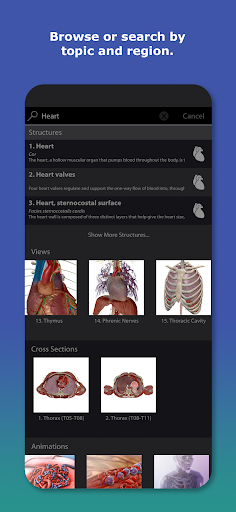 Human Anatomy Atlas 2026 screenshot