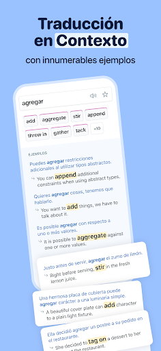 Captura de pantalla de Reverso Traductor, Diccionario