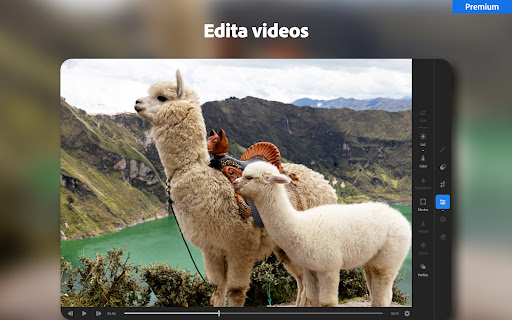 Captura de pantalla de Lightroom: edita fotos y video