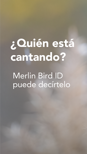 Captura de pantalla de Merlin Bird ID de Cornell Lab