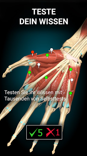 3D-Anatomie - Anatomy Learning Screenshot