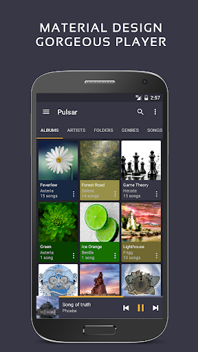 Pulsar Musik-Spieler Pro Screenshot