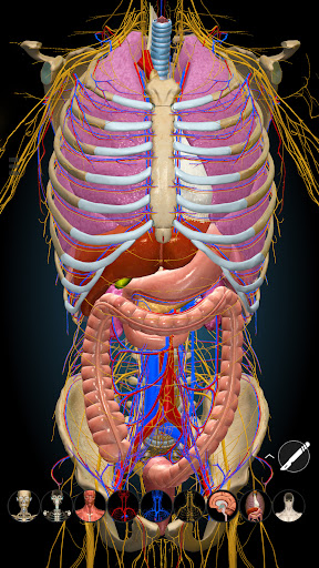 Anatomy Learning By Dr. Blanco screenshot