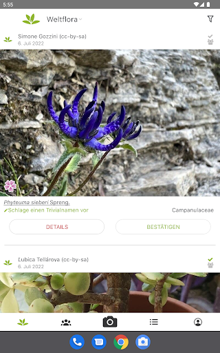 Pl@ntNet Pflanzenbestimmung Screenshot