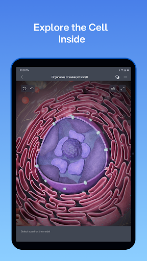 VOKA 3D Anatomy and Physiology screenshot