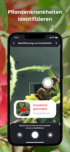 PlantIn - Pflanzen erkennen Screenshot