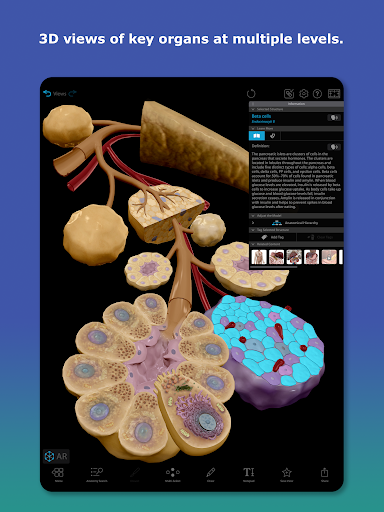 Human Anatomy Atlas 2026 screenshot
