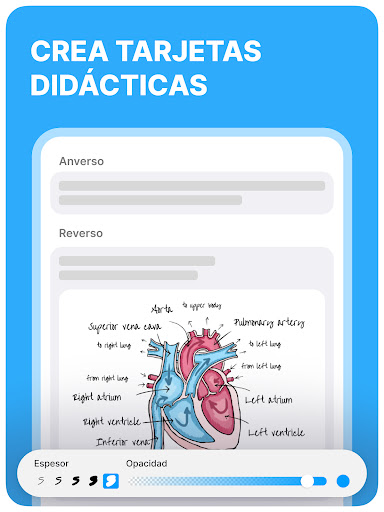 Captura de pantalla de Noji: Flashcads de estudio