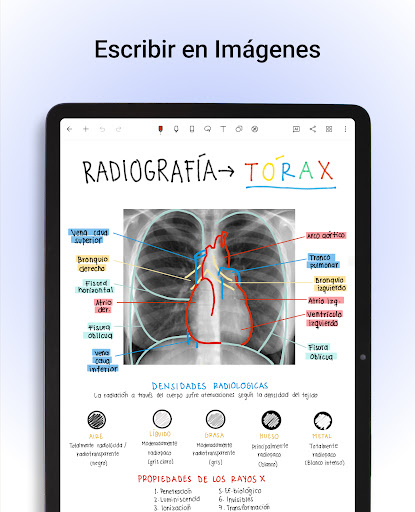 Captura de pantalla de Noteshelf - Notas, Anotaciones