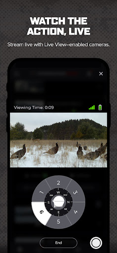 Command Screenshot