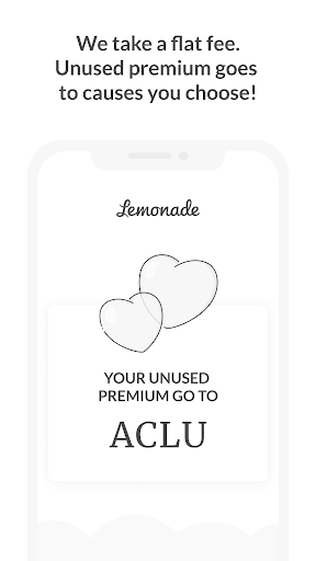Captura de pantalla de Lemonade Insurance