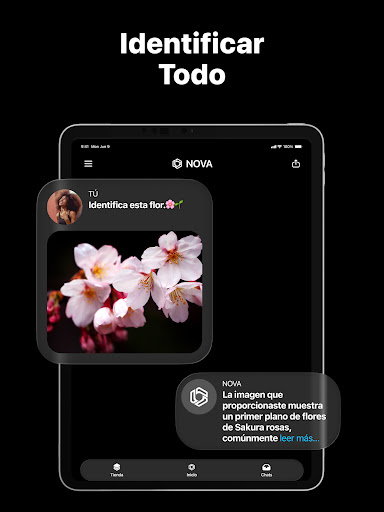 Captura de pantalla de Chatbot IA Español - Nova