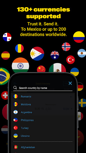 Western Union Send Money Now screenshot