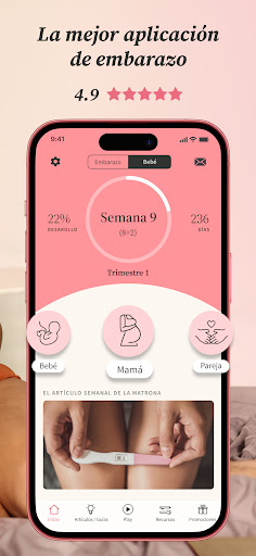 Captura de pantalla de Embarazo | Preglife