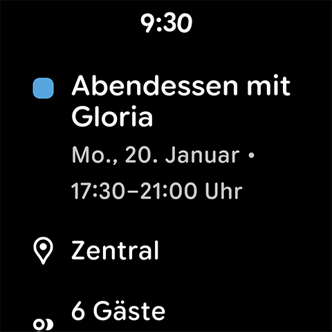 Google Kalender Screenshot