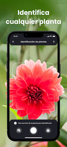 Captura de pantalla de PlantIn: Cuidado de plantas