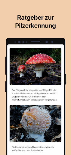 Picture Mushroom - Pilzführer Screenshot