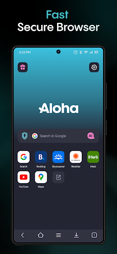 Aloha Browser - Private VPN screenshot