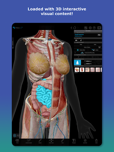 Human Anatomy Atlas 2026 screenshot
