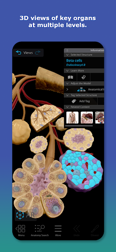 Human Anatomy Atlas 2026 screenshot