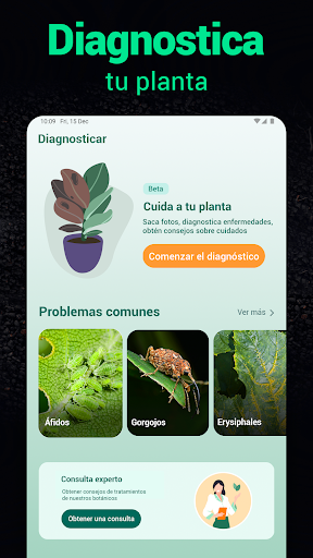Captura de pantalla de Plantum - Identificar plantas