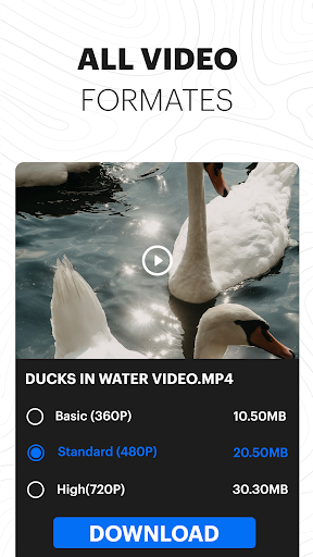 Video Downloader & Launcher screenshot