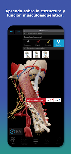 Captura de pantalla de Atlas de anatomía humana 2026