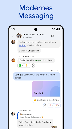 Google Chat Screenshot