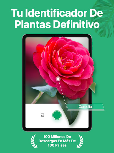 Captura de pantalla de PictureThis Identificar Planta