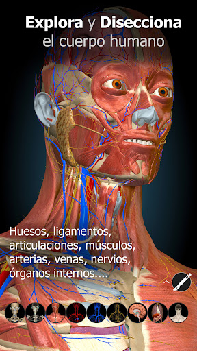 Captura de pantalla de Anatomy Learning - Anatomía 3D