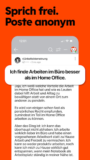 Reddit Screenshot