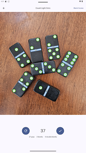 Domino Dot Counter screenshot