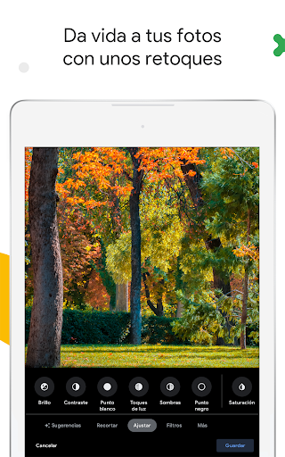 Captura de pantalla de Google Fotos